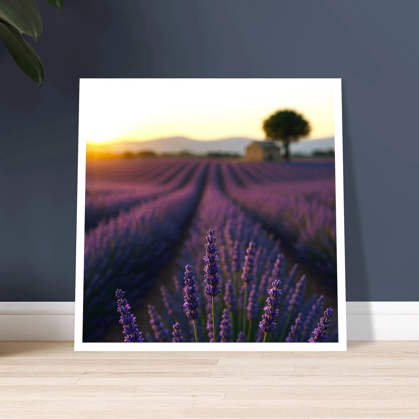 1913637d-404d-4343-b9e8-294477fe3942