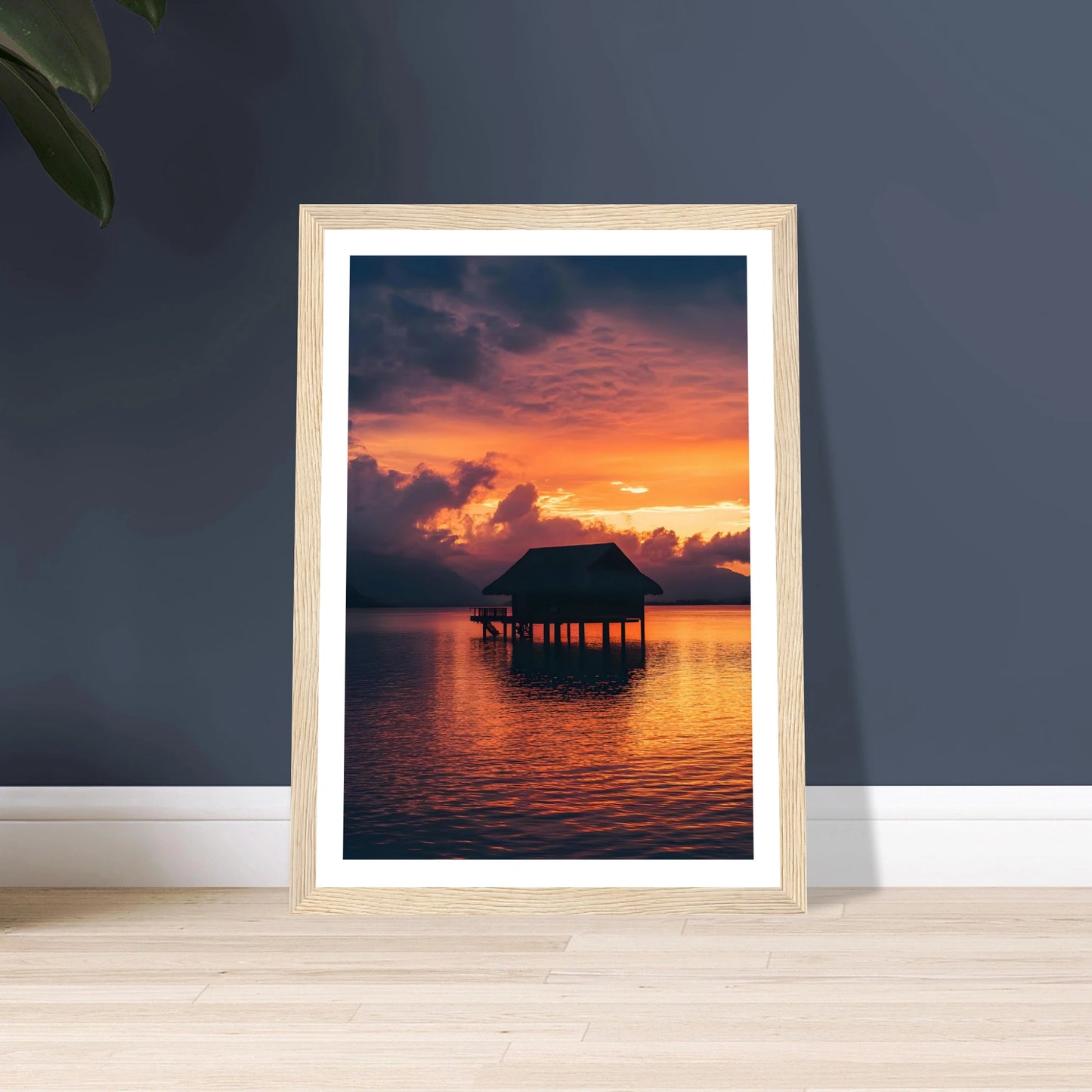 3d754dd8-25bf-403a-a4e8-38dd3d2e2836