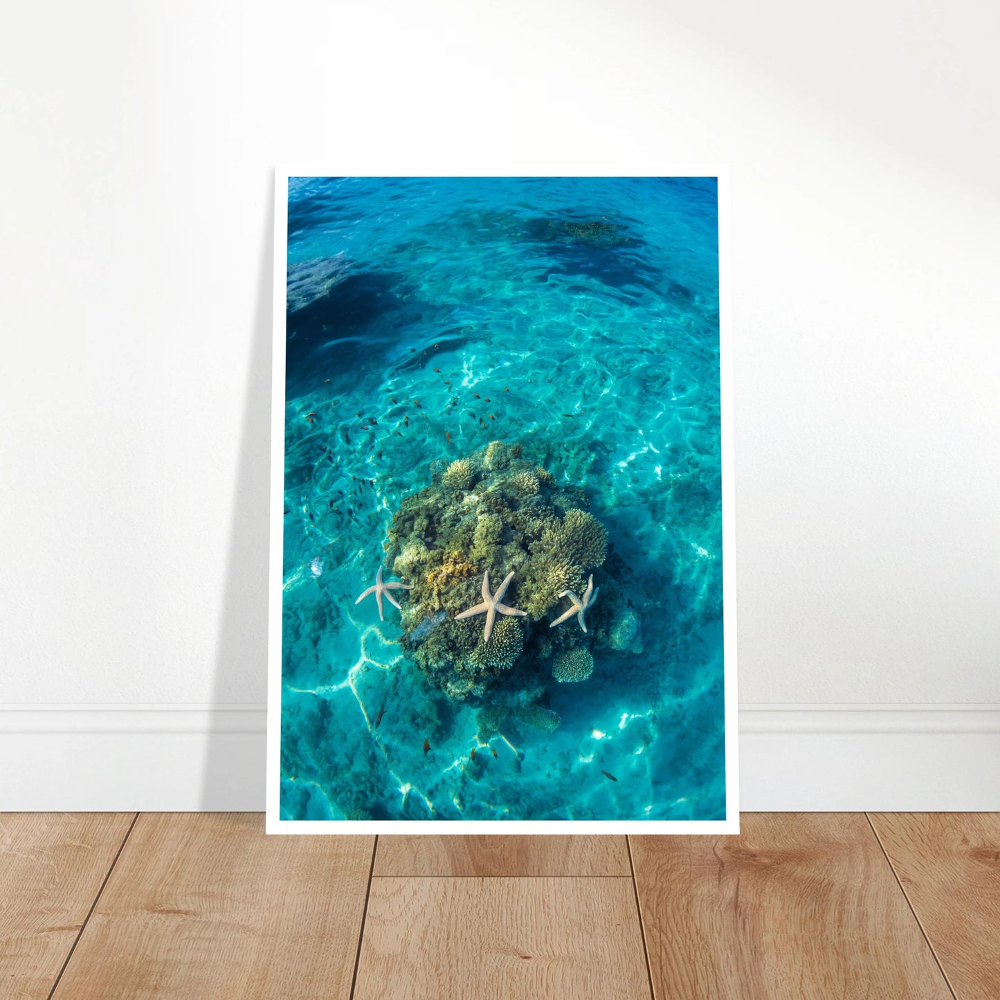 97e70cbc-b769-4e9c-89a6-4bf563bf4997