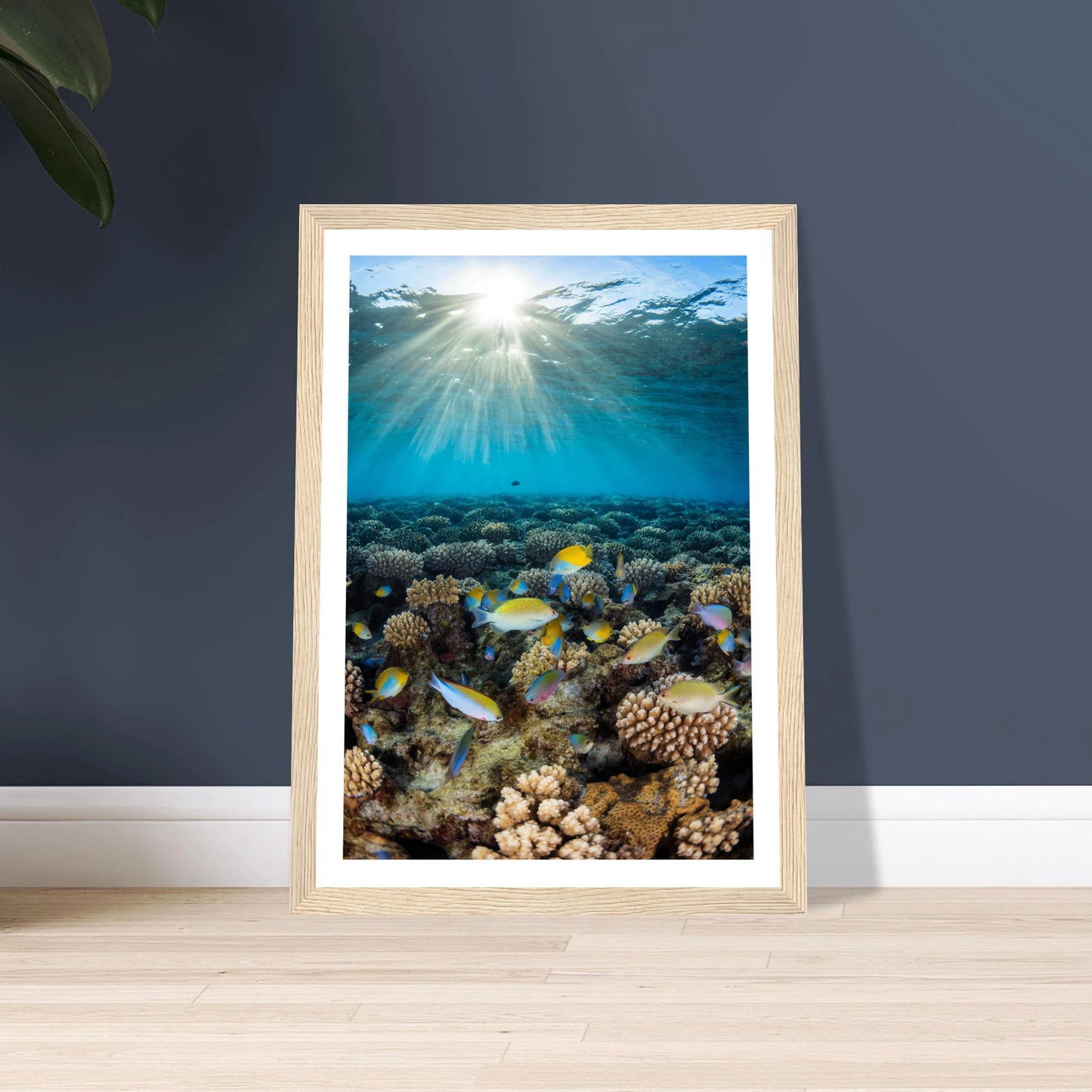 98a82ba7-e318-4e89-8a68-32103a80703d