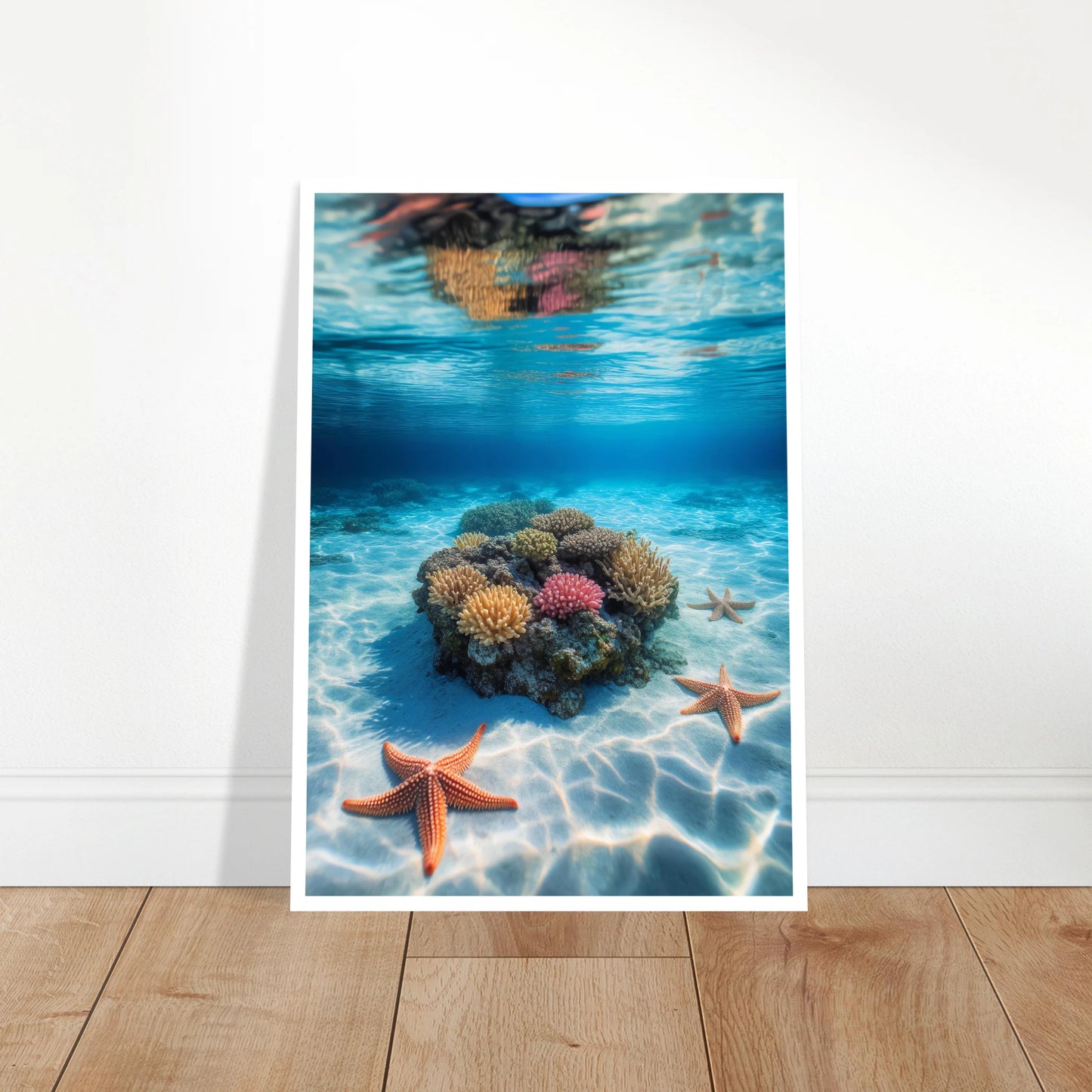 a8562691-6a44-47e6-bb34-5ca2f9338a7f