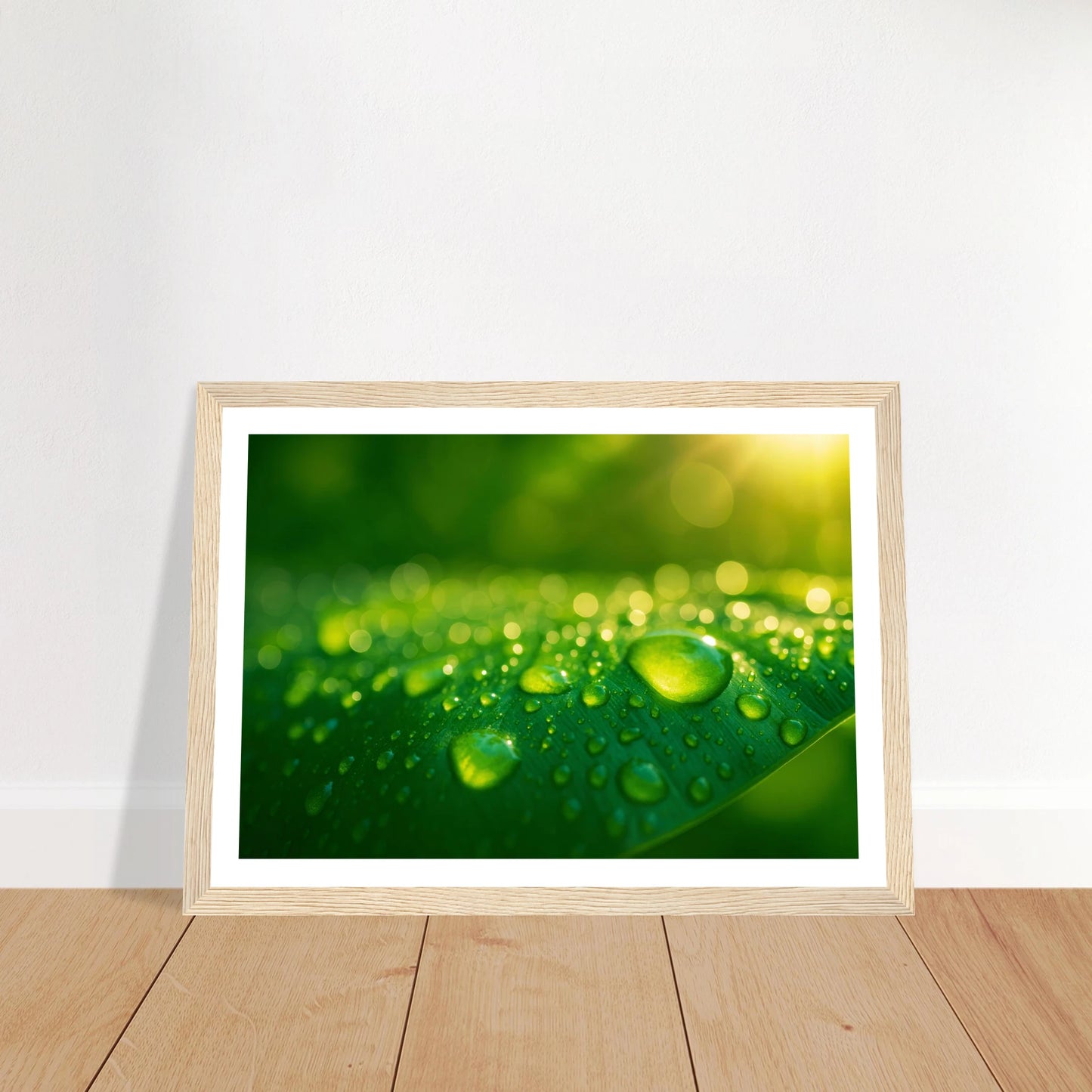 bac64dd0-9eb0-45dd-abac-aedd87a21ced