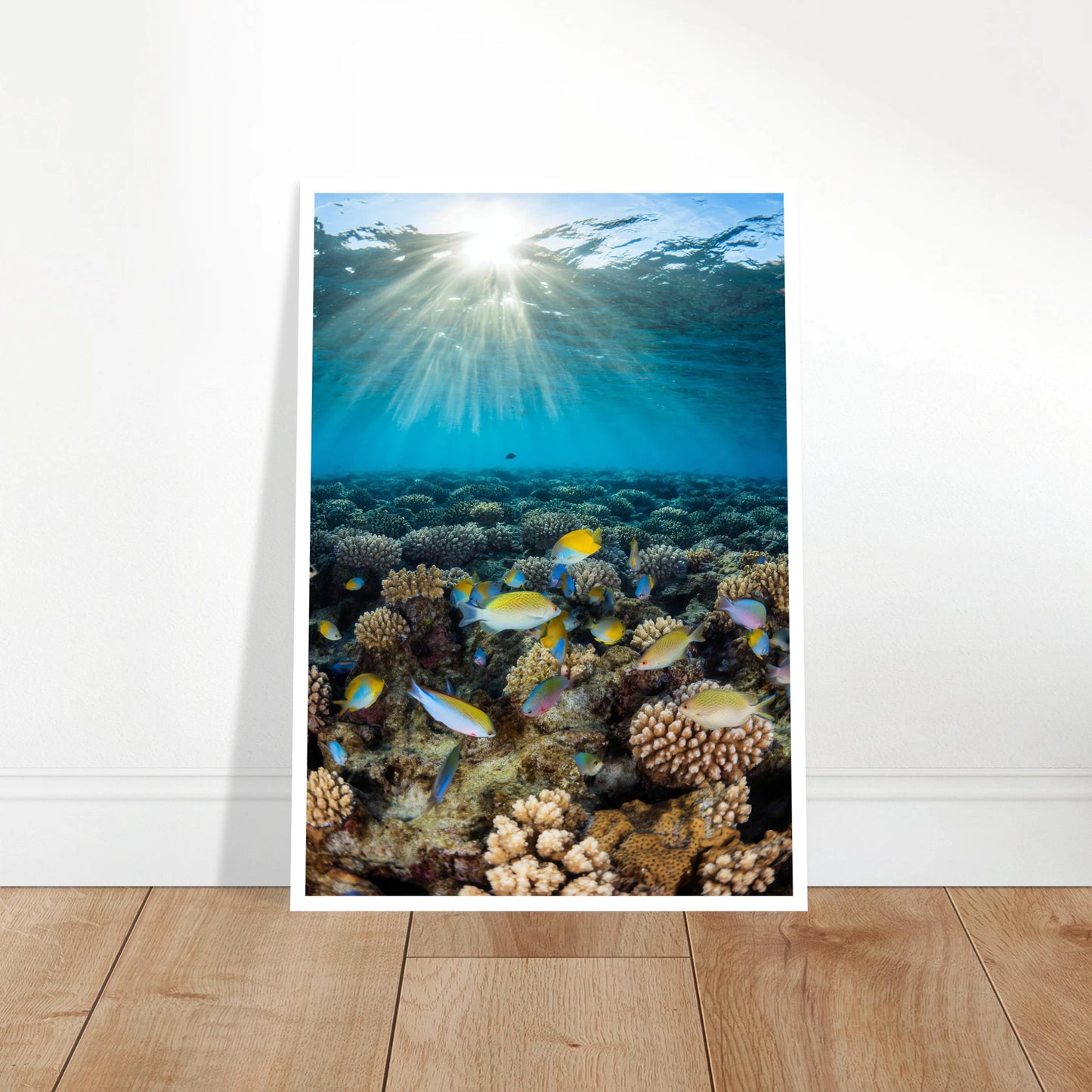 dd33d6f8-1018-4c9f-8071-c59bcd733aeb