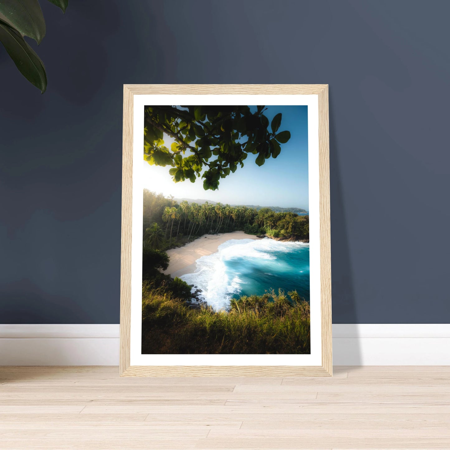 fe44cbb8-83fe-494f-8a28-8aa5bdff9edd