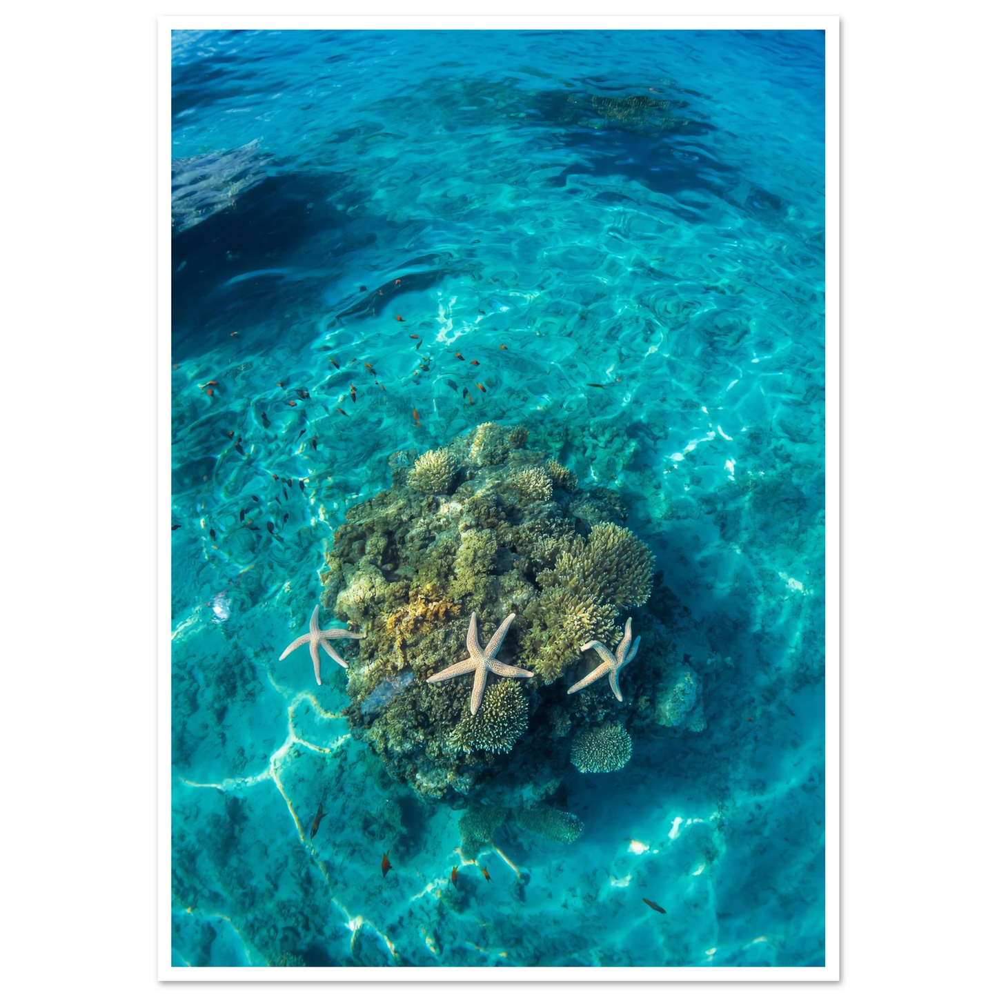 01d18f56-5632-4c89-ad29-4b55428badf8