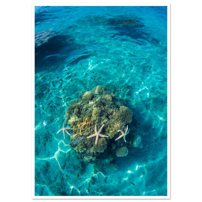 01d18f56-5632-4c89-ad29-4b55428badf8