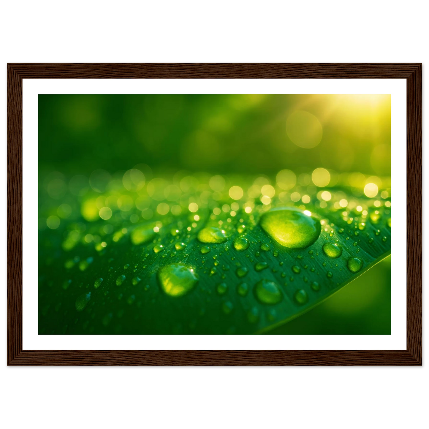 0a3efdb8-3ffb-44b9-aa2f-84b55552df09