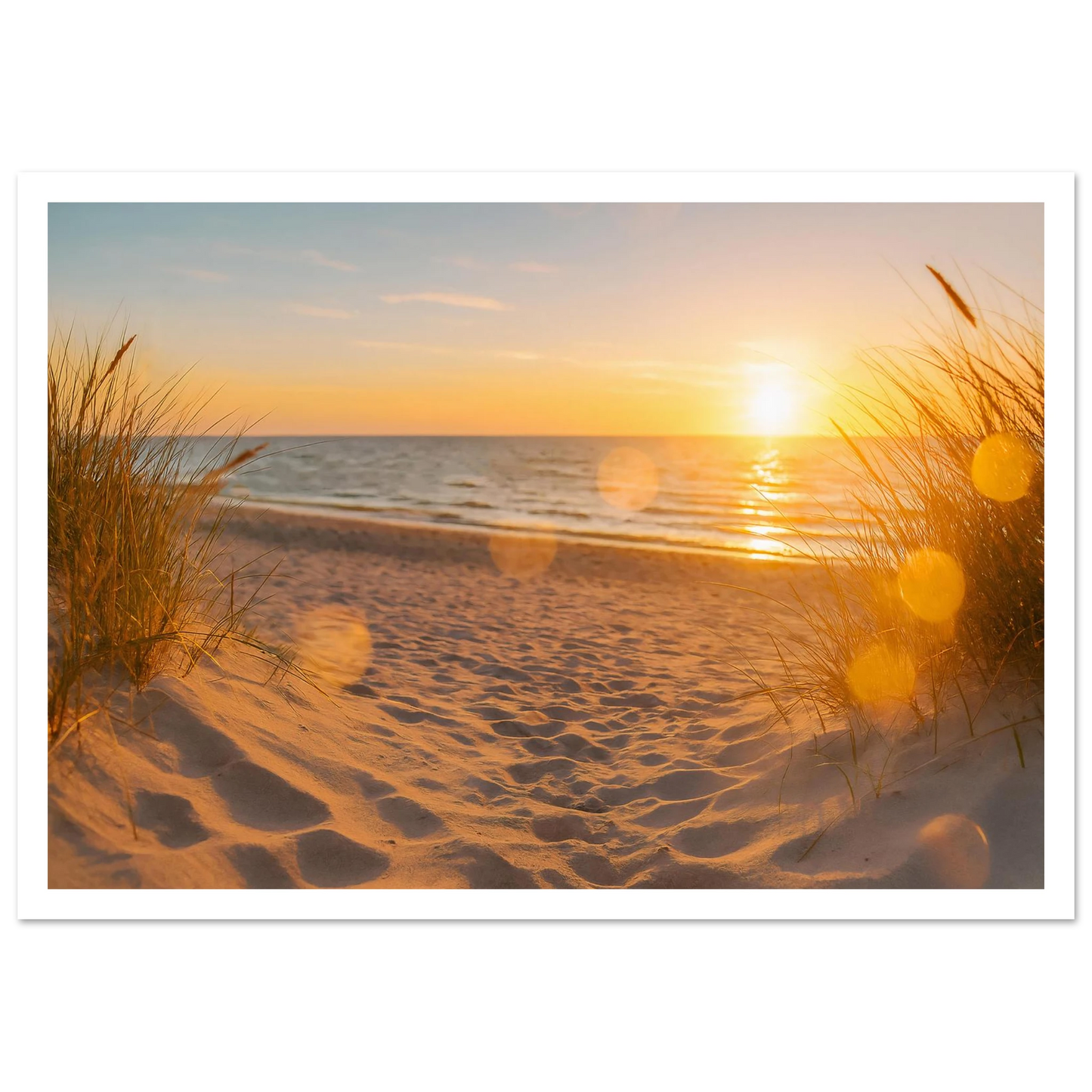 0a5cda43-3001-4315-942d-4abffd449a20