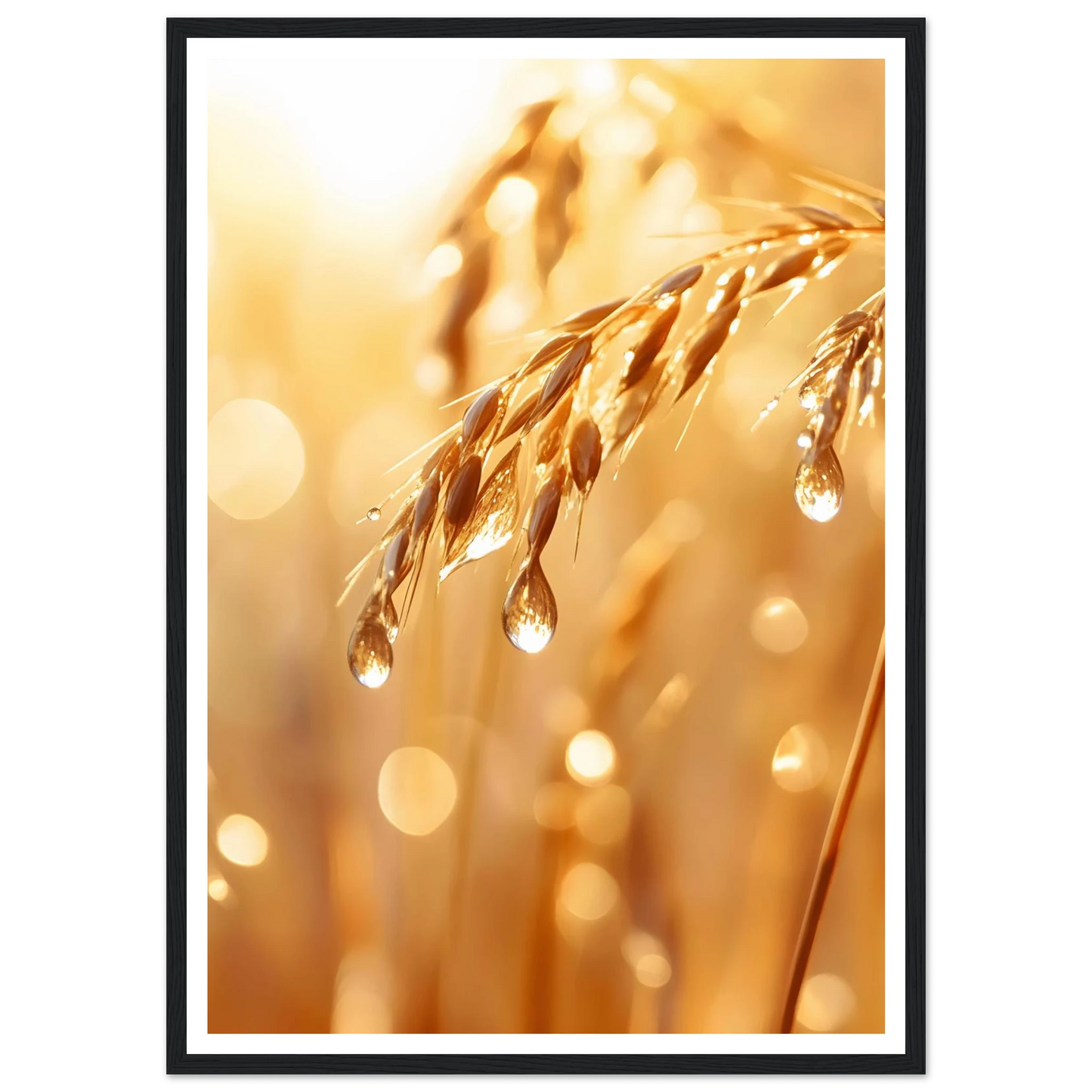 0bd24265-e319-420b-b326-9a7c84f8f0c8