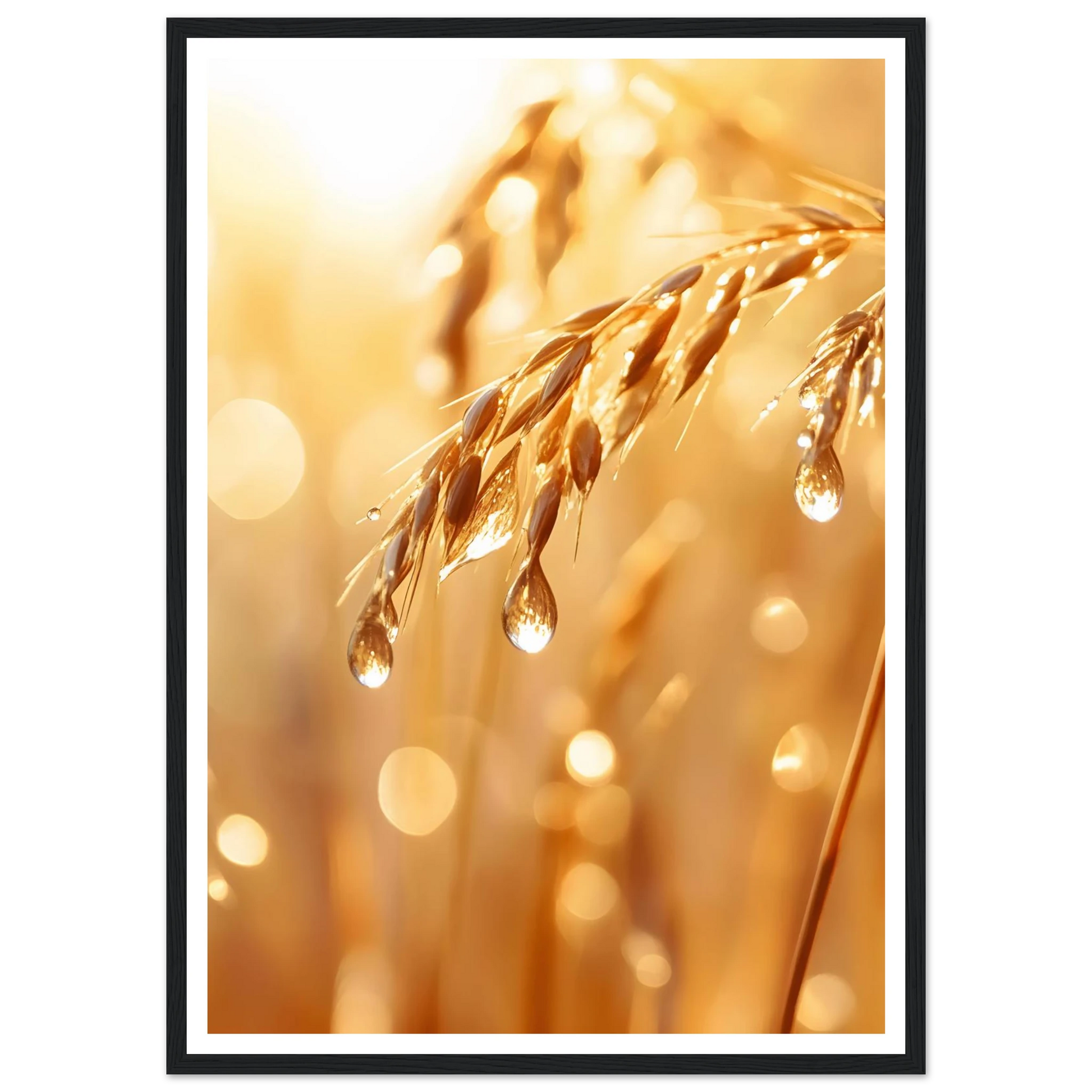 0bd24265-e319-420b-b326-9a7c84f8f0c8