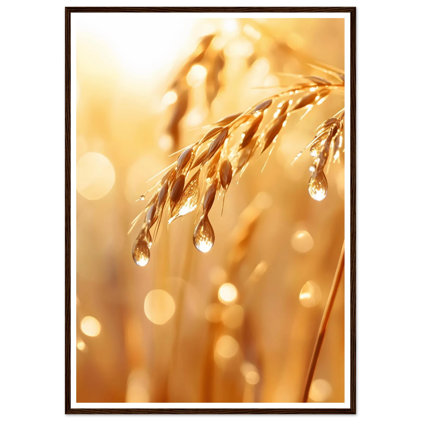 108b8f3c-5ea7-4463-a63a-51a1da8e1290