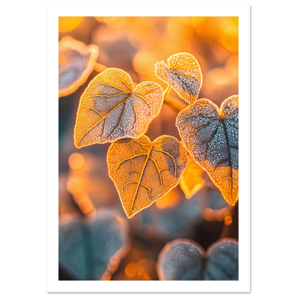 13b60c12-a6c8-4dfb-aef3-f3d70ebeee87