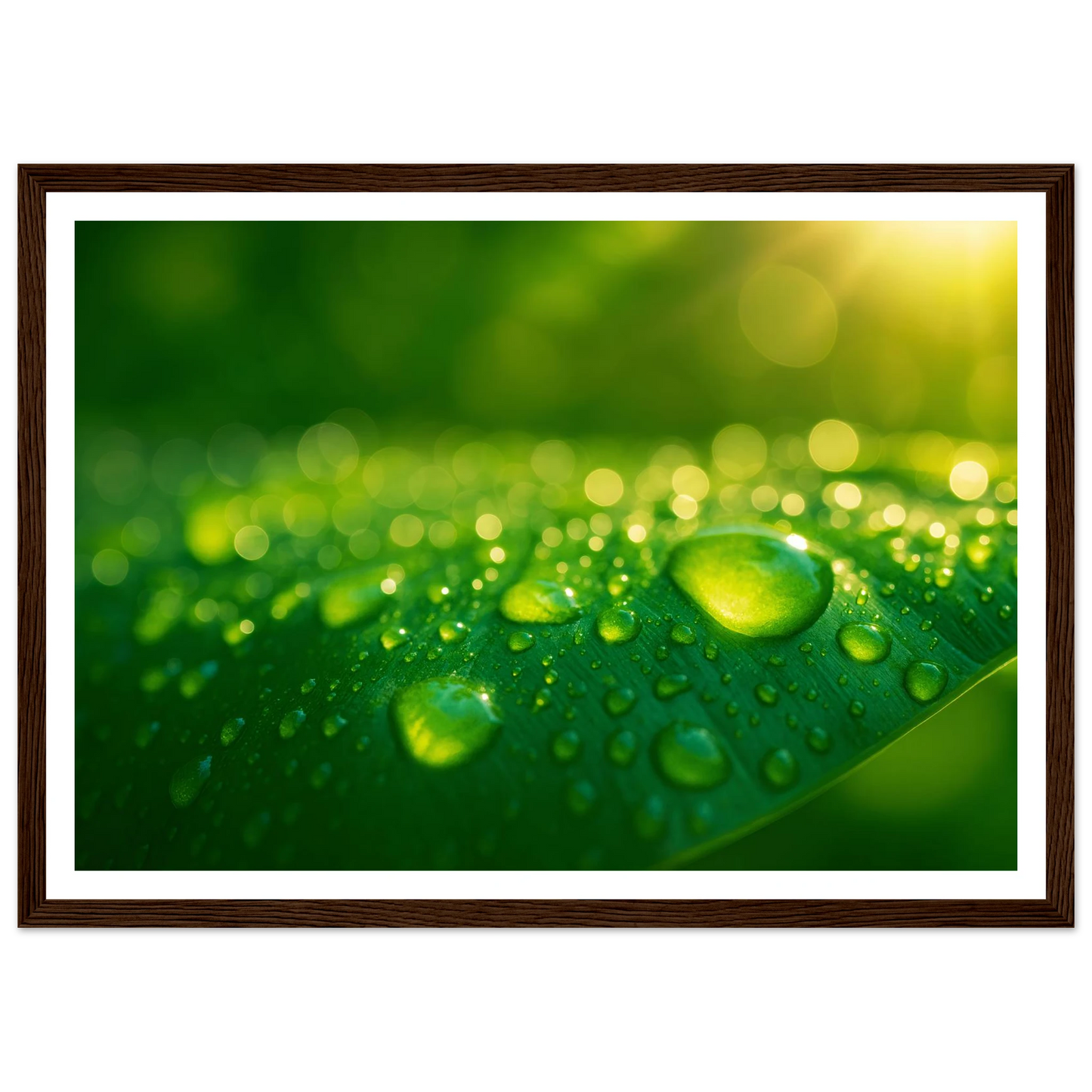 140c7413-4672-4d6d-92a3-8757bbb750de