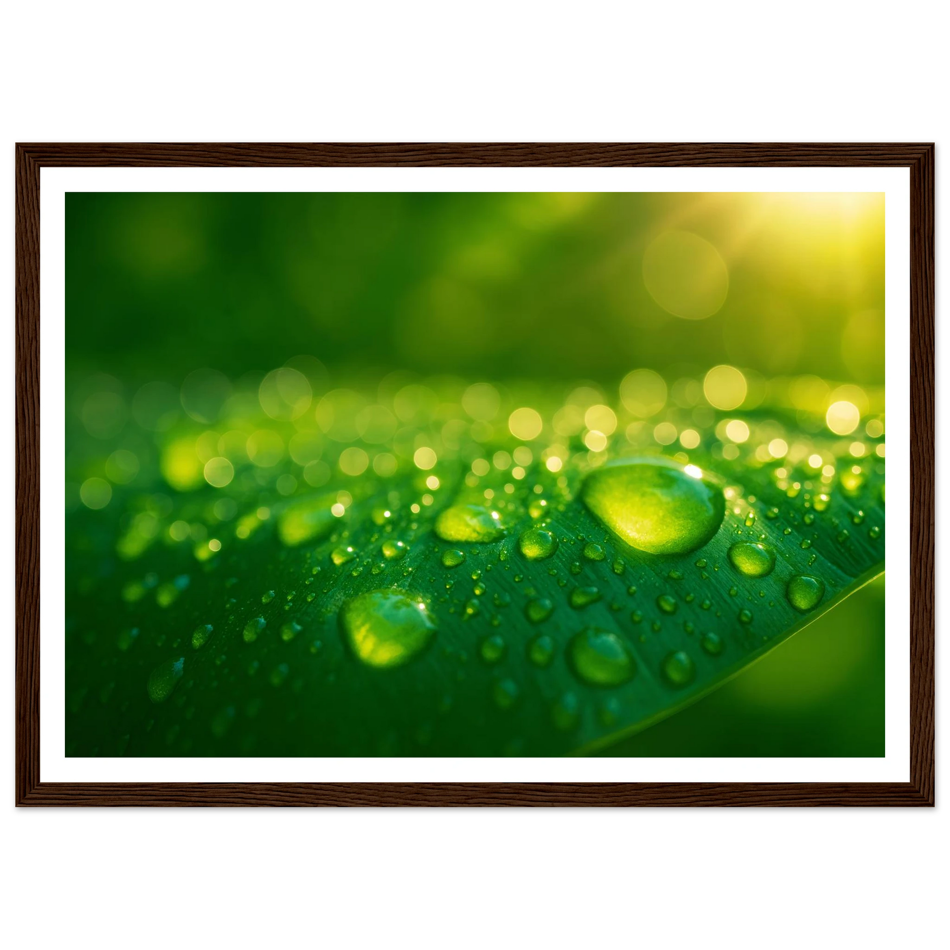 140c7413-4672-4d6d-92a3-8757bbb750de