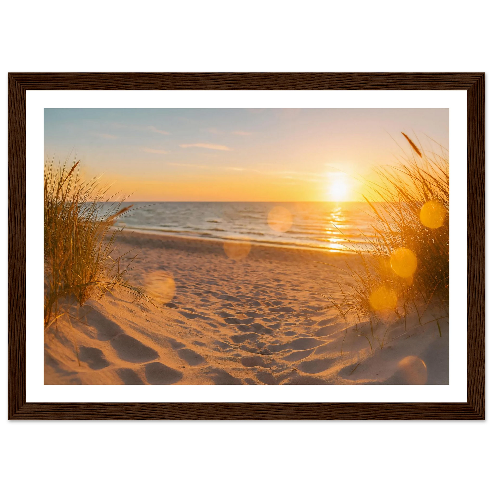 169740ea-8431-48a4-95c8-73d5520914ea