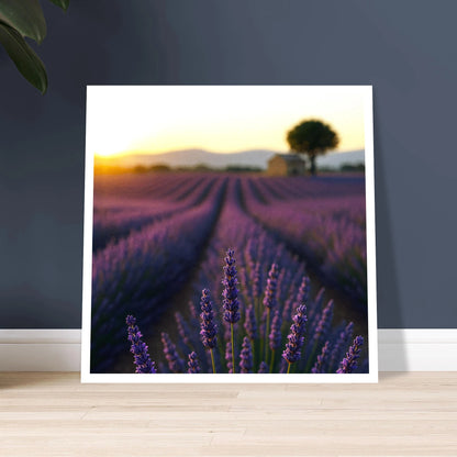 1913637d-404d-4343-b9e8-294477fe3942