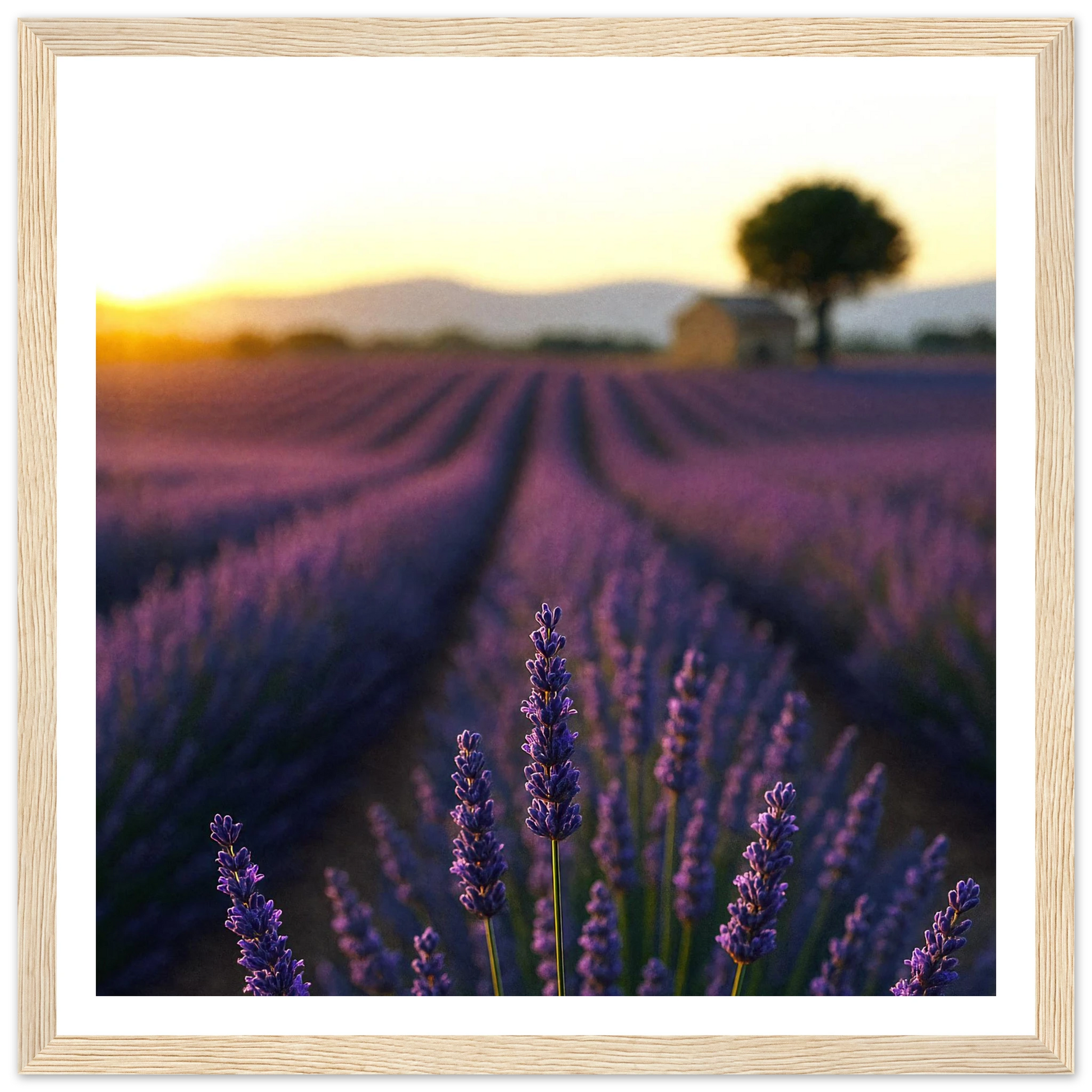 19d81358-d388-4f78-8236-5c303ed0e762