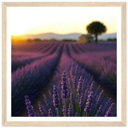 19d81358-d388-4f78-8236-5c303ed0e762