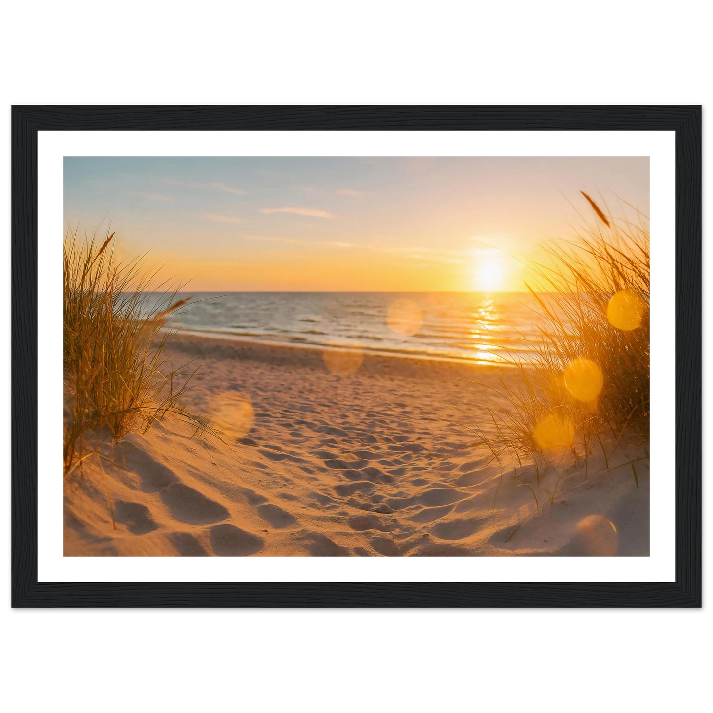 1a77d04e-d485-4580-baaf-ed0936f407ac