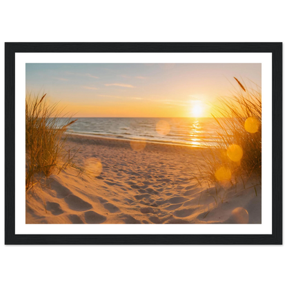 1a77d04e-d485-4580-baaf-ed0936f407ac