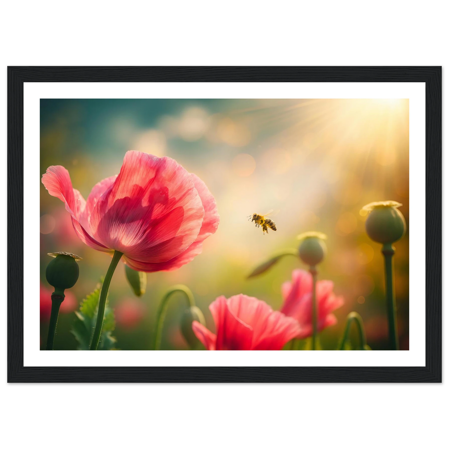 1c46fcaa-eda8-49f9-a454-6d5016851e3d