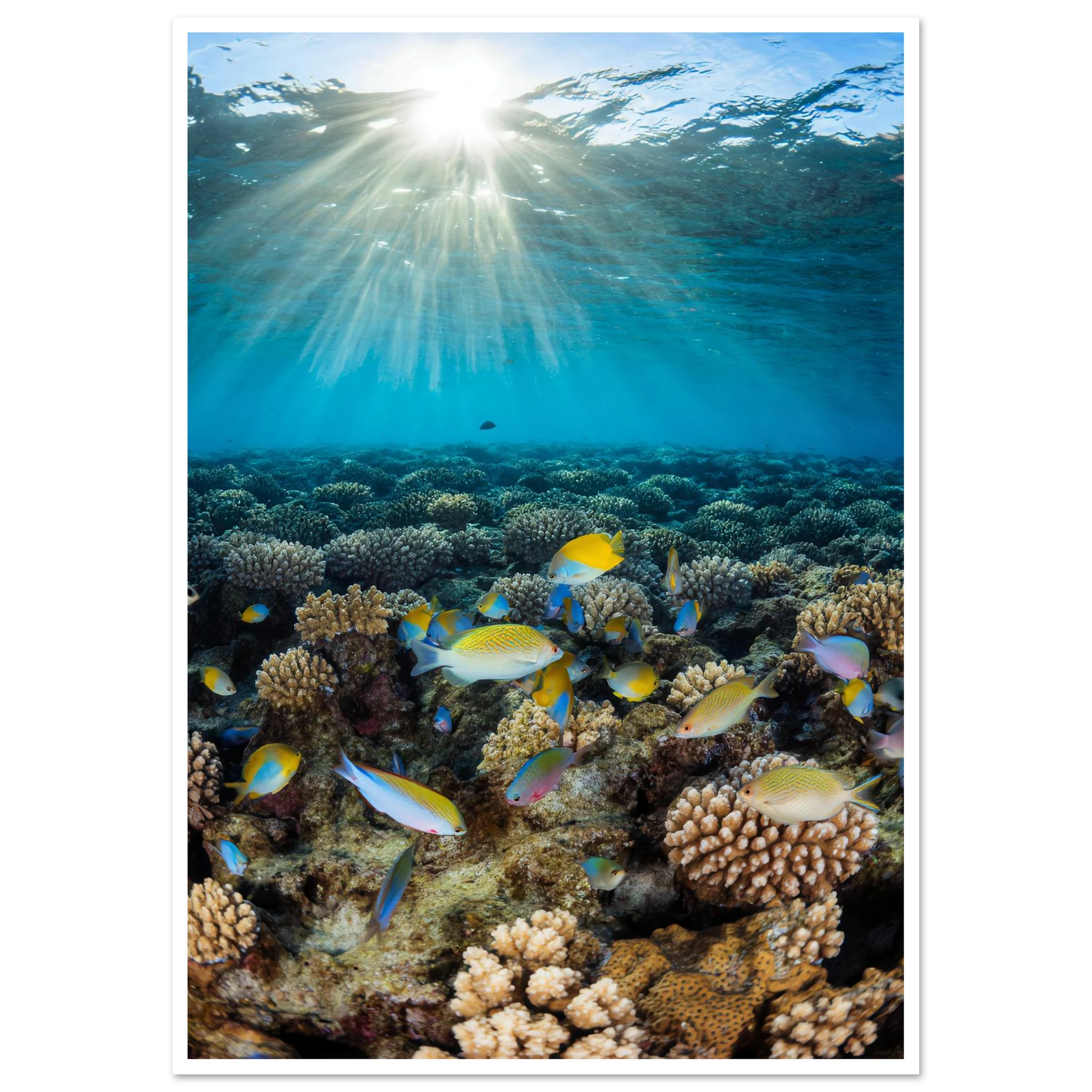 1f23150f-37c3-427d-9f08-7213cab86786