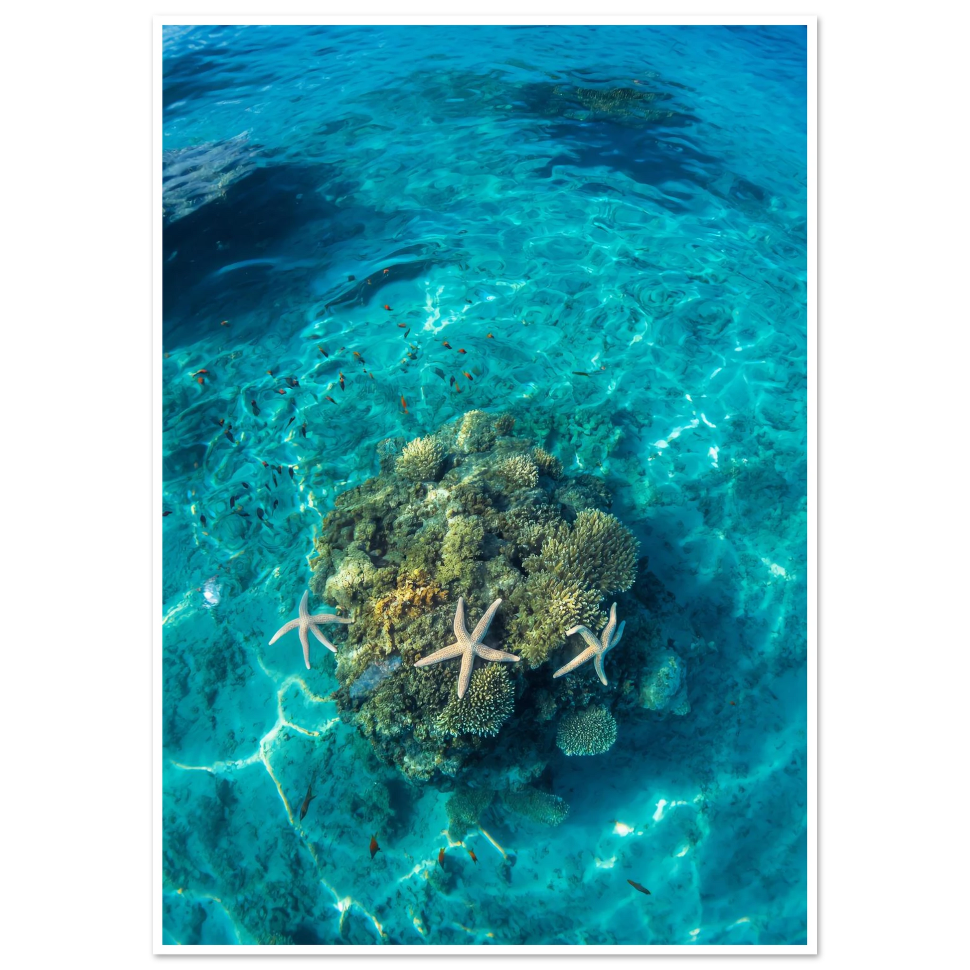 1f71d154-aa72-4aeb-84c9-370c3cc50950