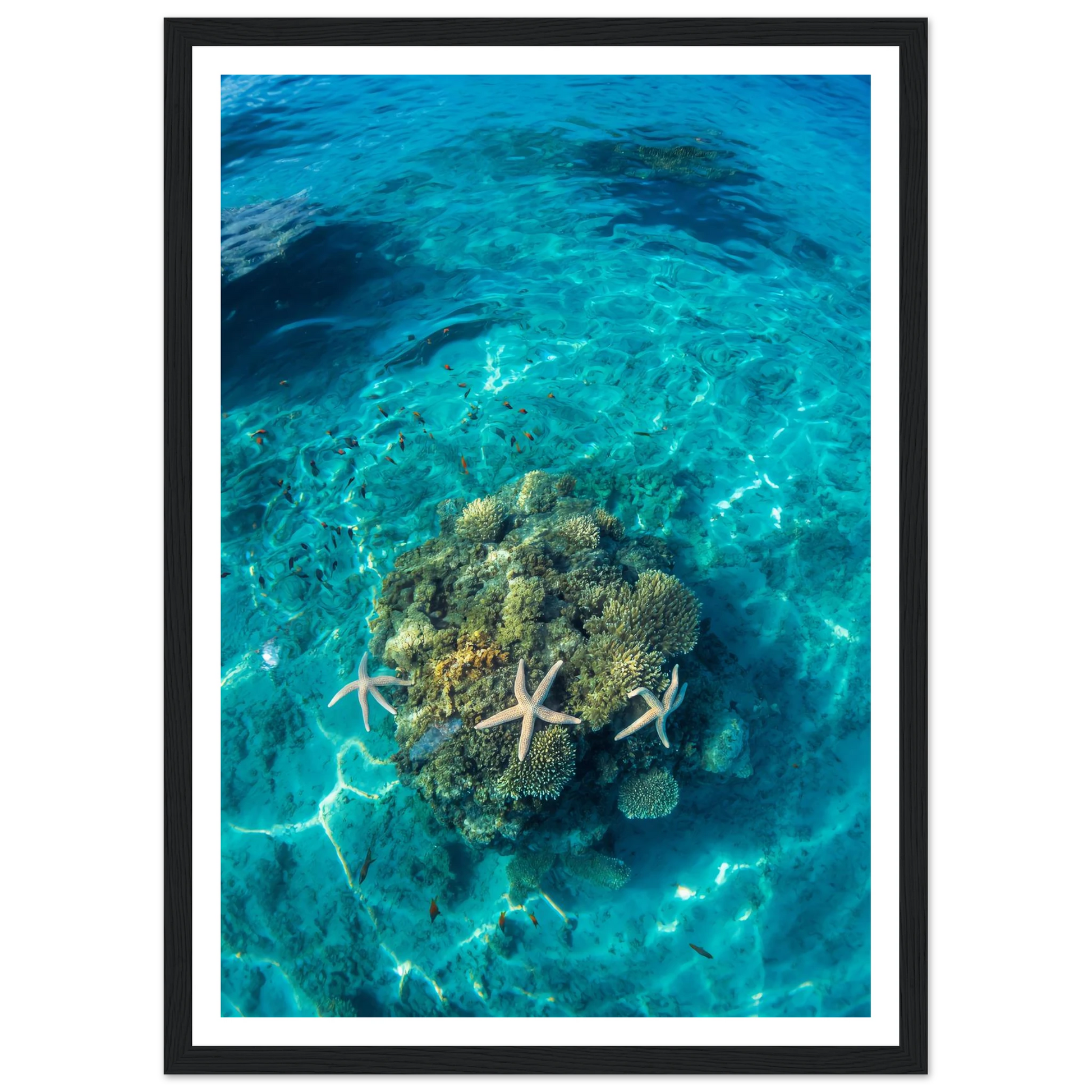 24f73432-b27b-4332-904e-4f23e0a285fd