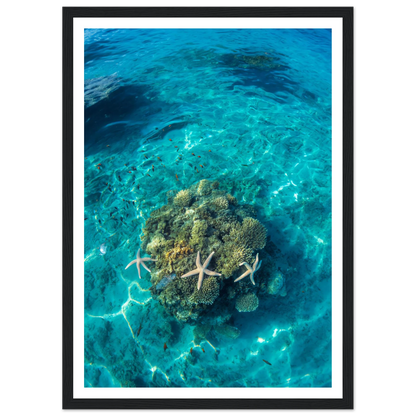 24f73432-b27b-4332-904e-4f23e0a285fd