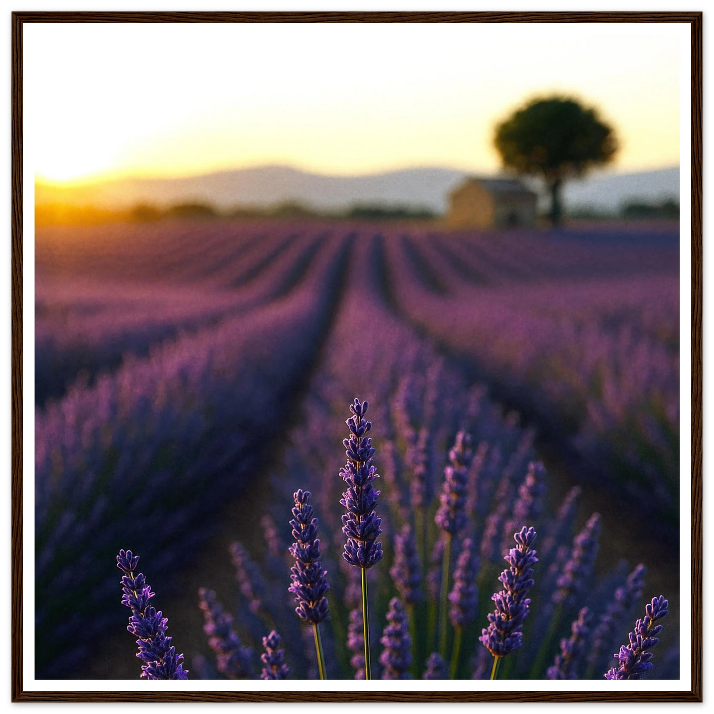 26041918-6ddb-4e7c-9d3b-bd4cf03bc719