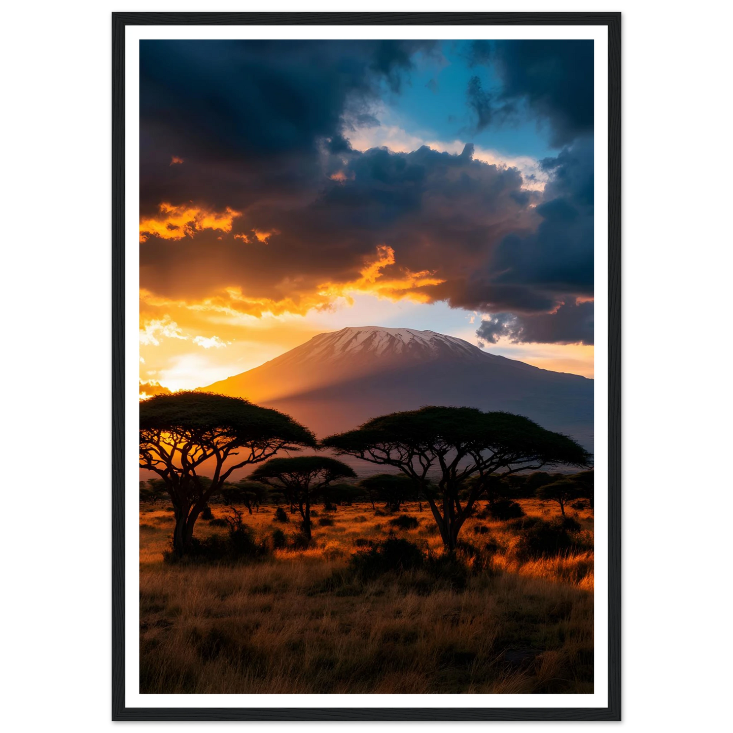 28c479a5-b452-406f-bab0-87a85a1eb73b