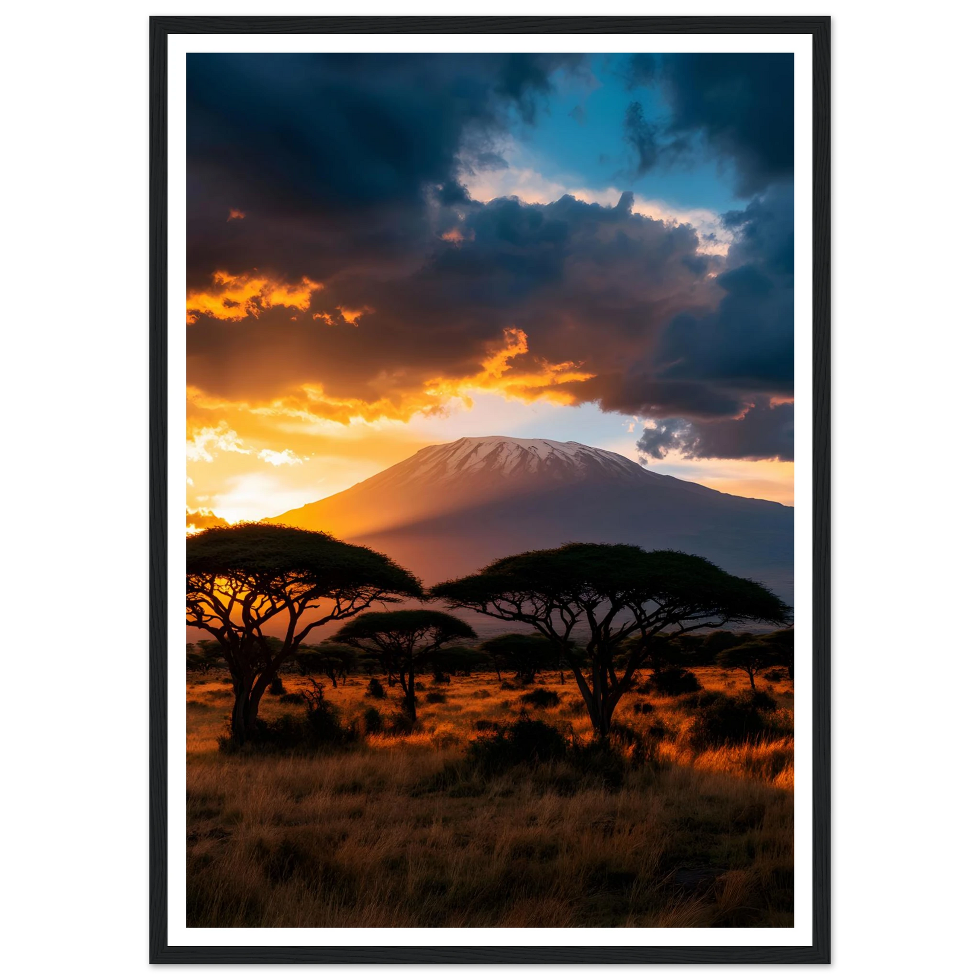 28c479a5-b452-406f-bab0-87a85a1eb73b