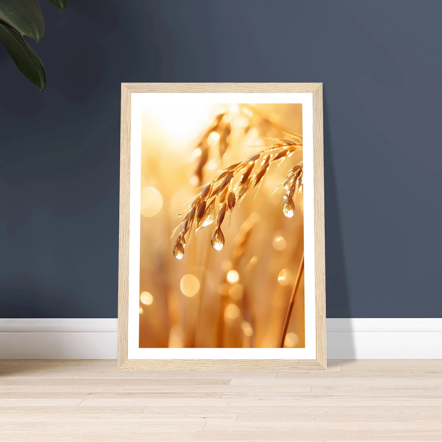 2a23f746-9acb-4981-935d-b31f5059ce7b