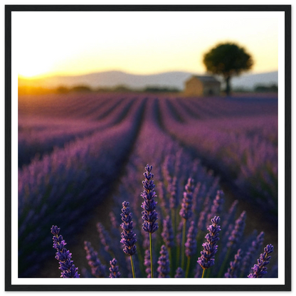 2b833ae0-d386-4dff-9a83-67945ea37ba6