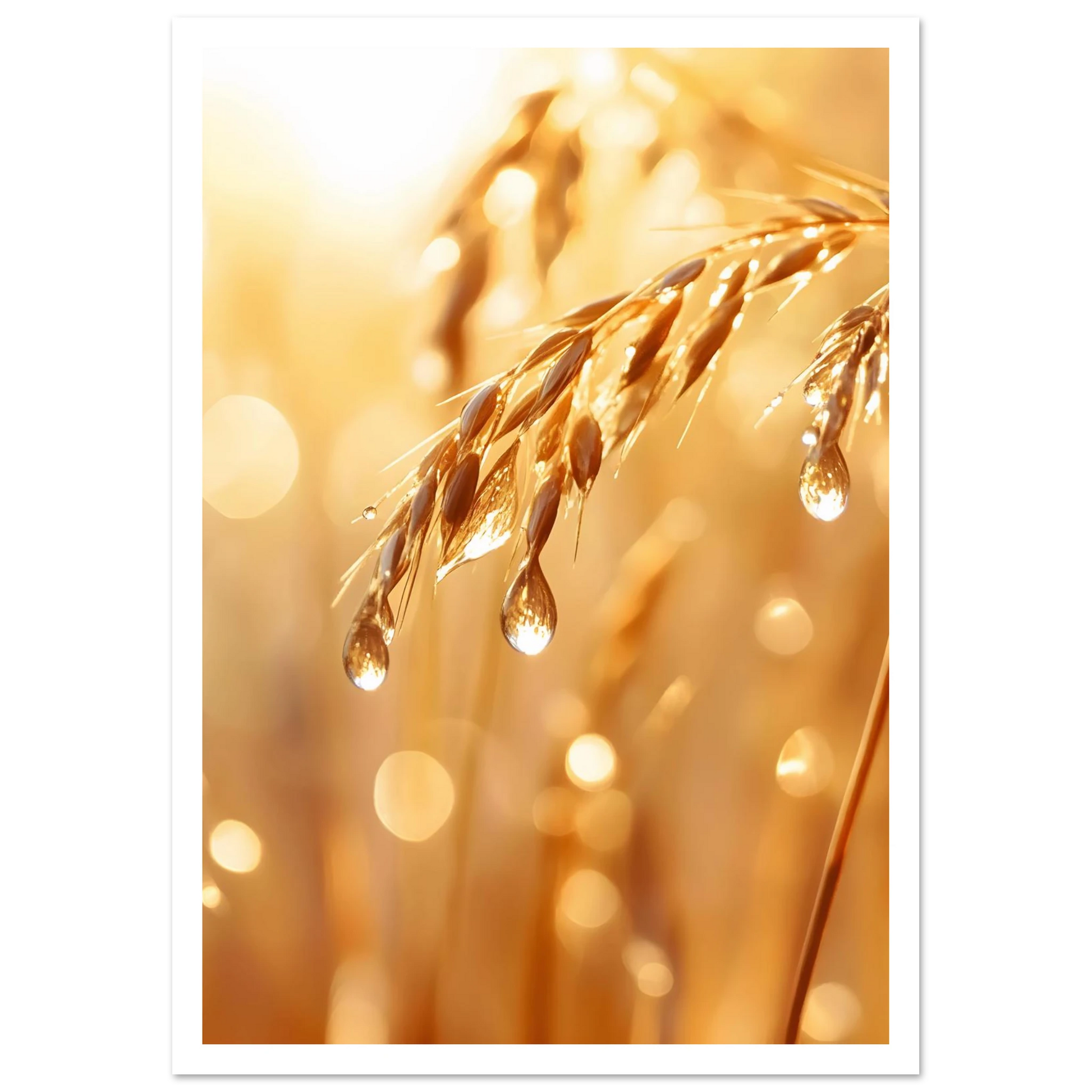 3365d628-8cc7-4847-b027-f1fa5bac639b