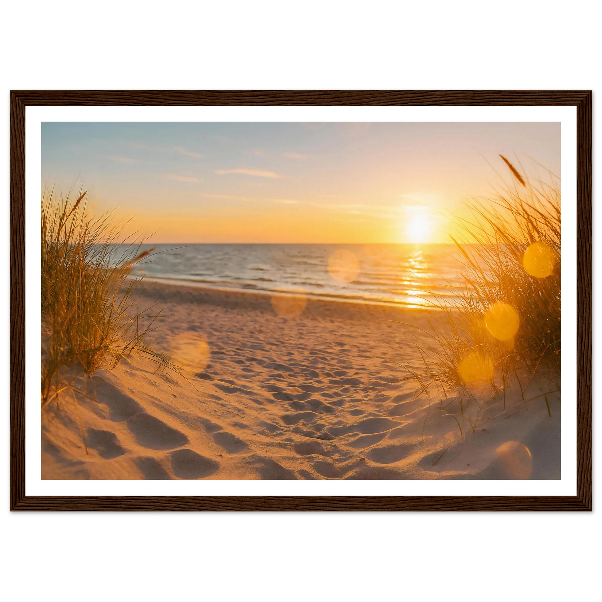 385796d3-90f7-4121-92dc-a0ea5671d989