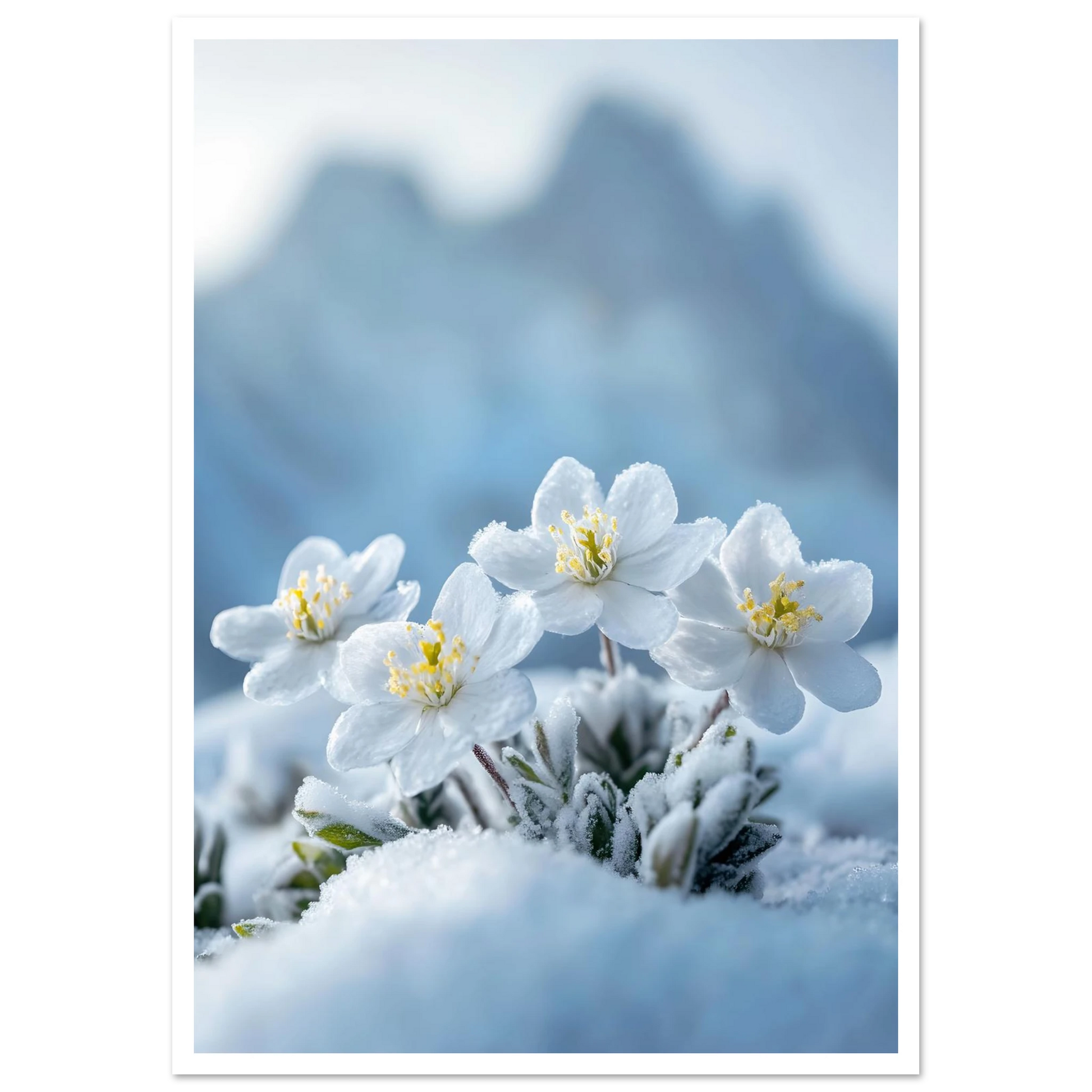 3eb49fc3-982c-43e3-8f59-f12862b764ea