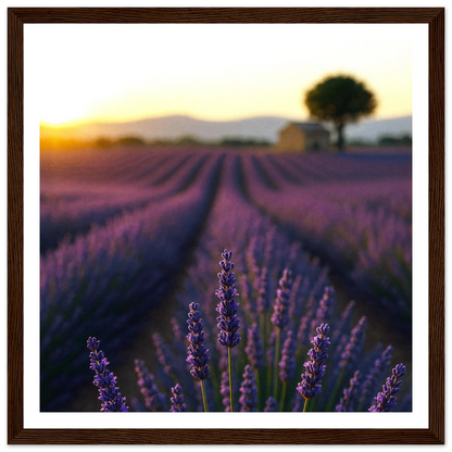 3f6c1839-53b6-4124-8527-cd07ef925103