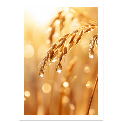 416b6876-be1e-46d7-9c99-d1db2a05e0bc