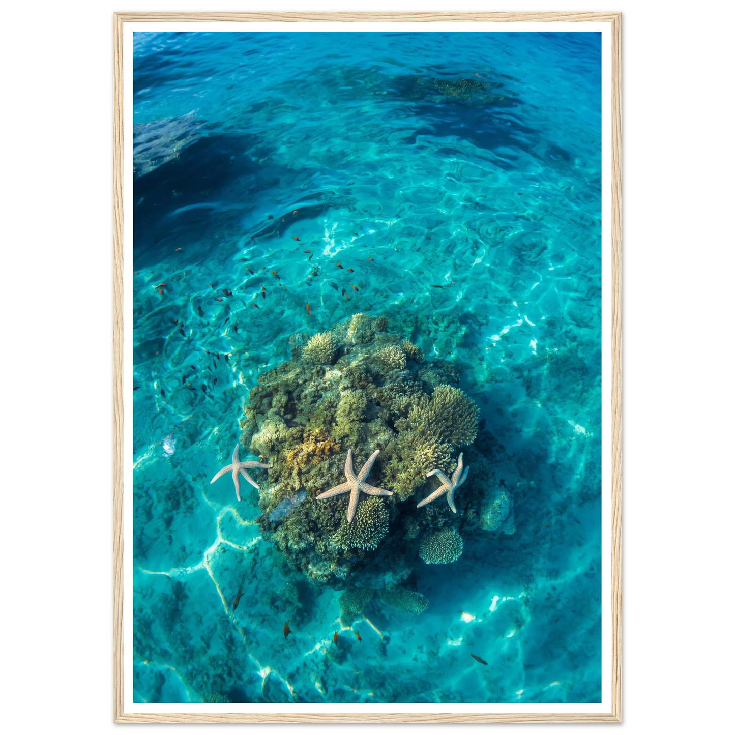 4f574a29-1148-467c-8752-169fad92f69b