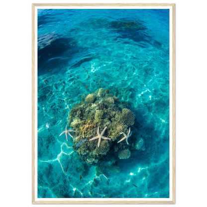 4f574a29-1148-467c-8752-169fad92f69b