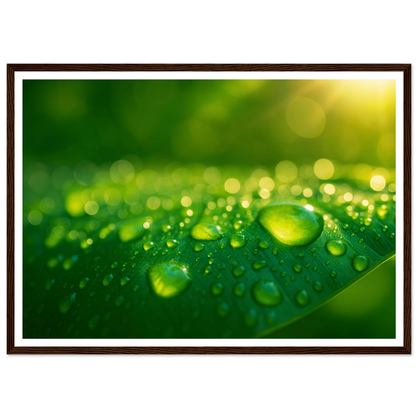 51543987-9f18-4389-aa32-5be0ffb13252