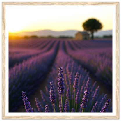 5591b1e2-da65-4fba-8658-45a1bd34cc8e