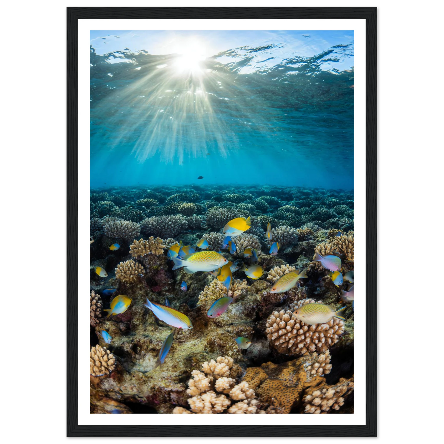 57e3e4af-bf04-4013-a0f3-fd080eaad1e0