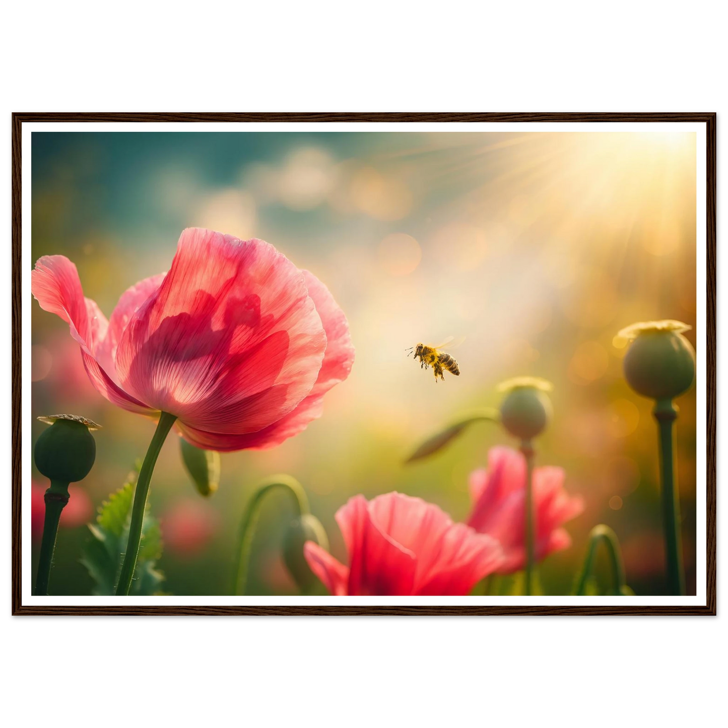 5c55364d-38f1-4729-b1ea-bca4b55ac22c