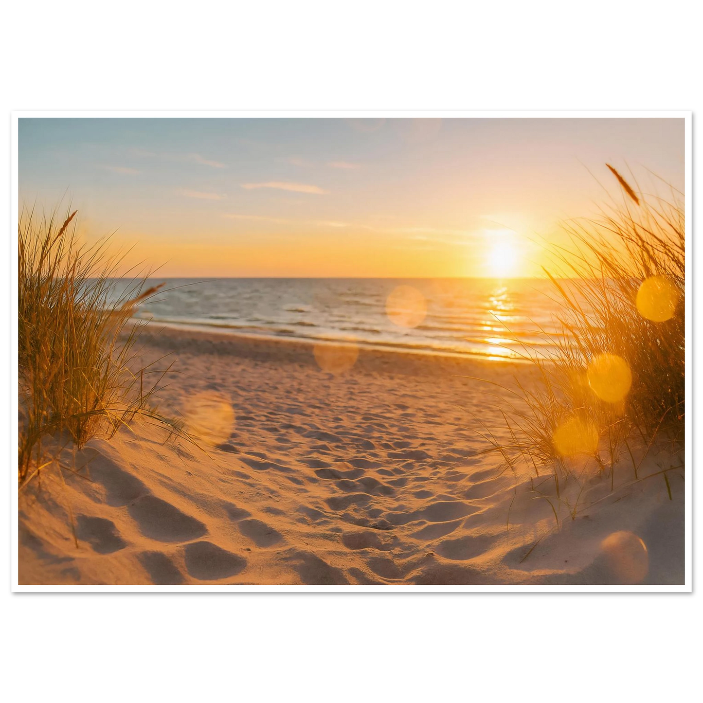 5e9d3c4f-1855-4949-b9eb-2855e9099821