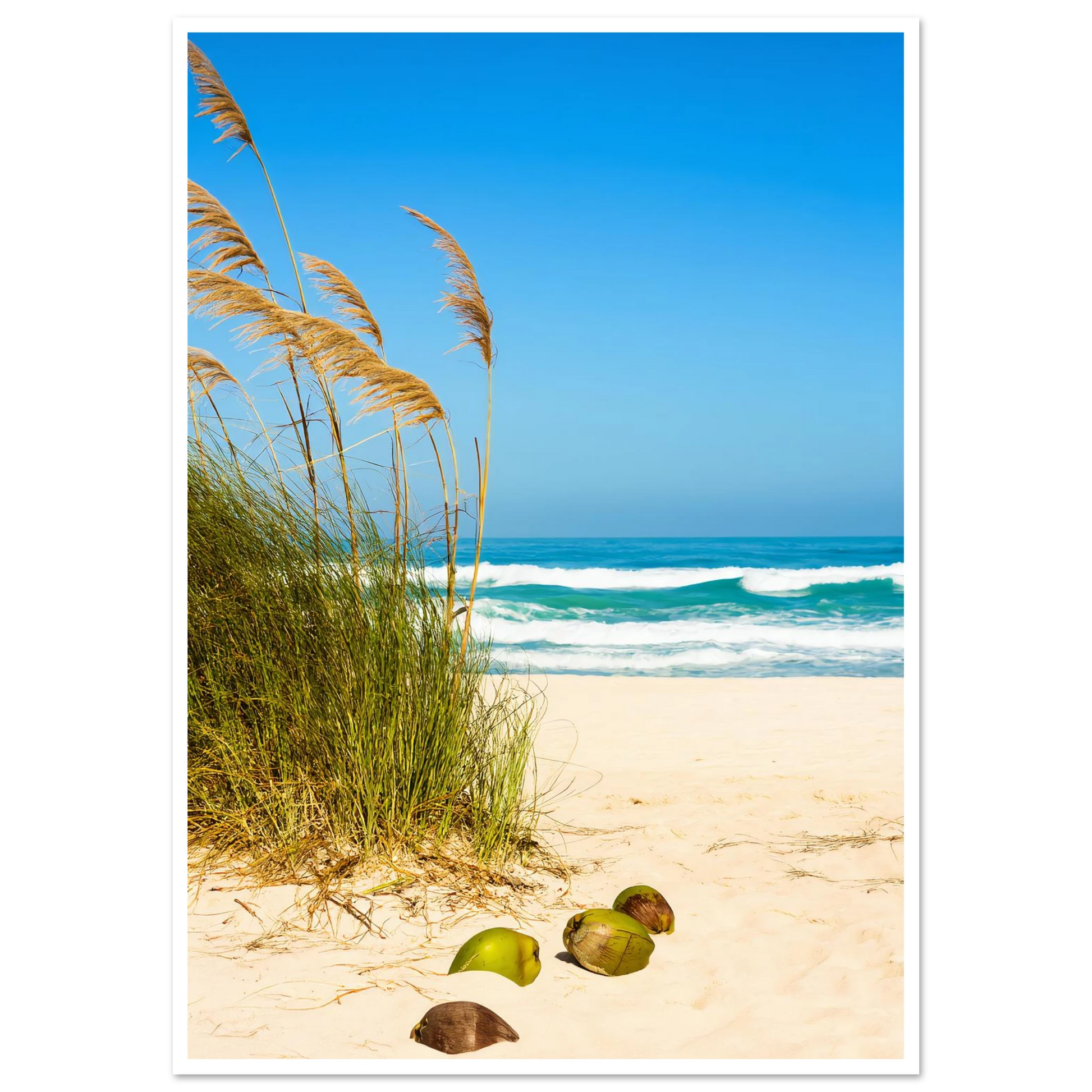 5eb90b52-3983-4c7b-abc7-4362abca74b8