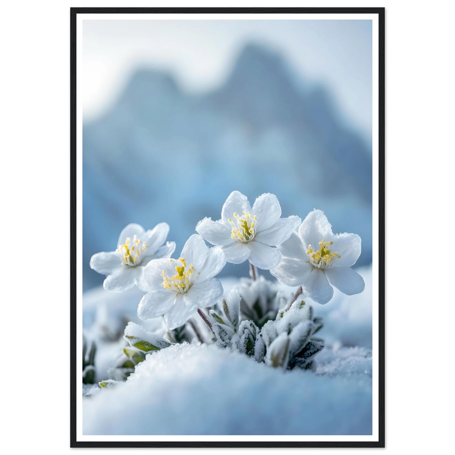 664b877d-00f6-44f2-b93f-b89faafb014a