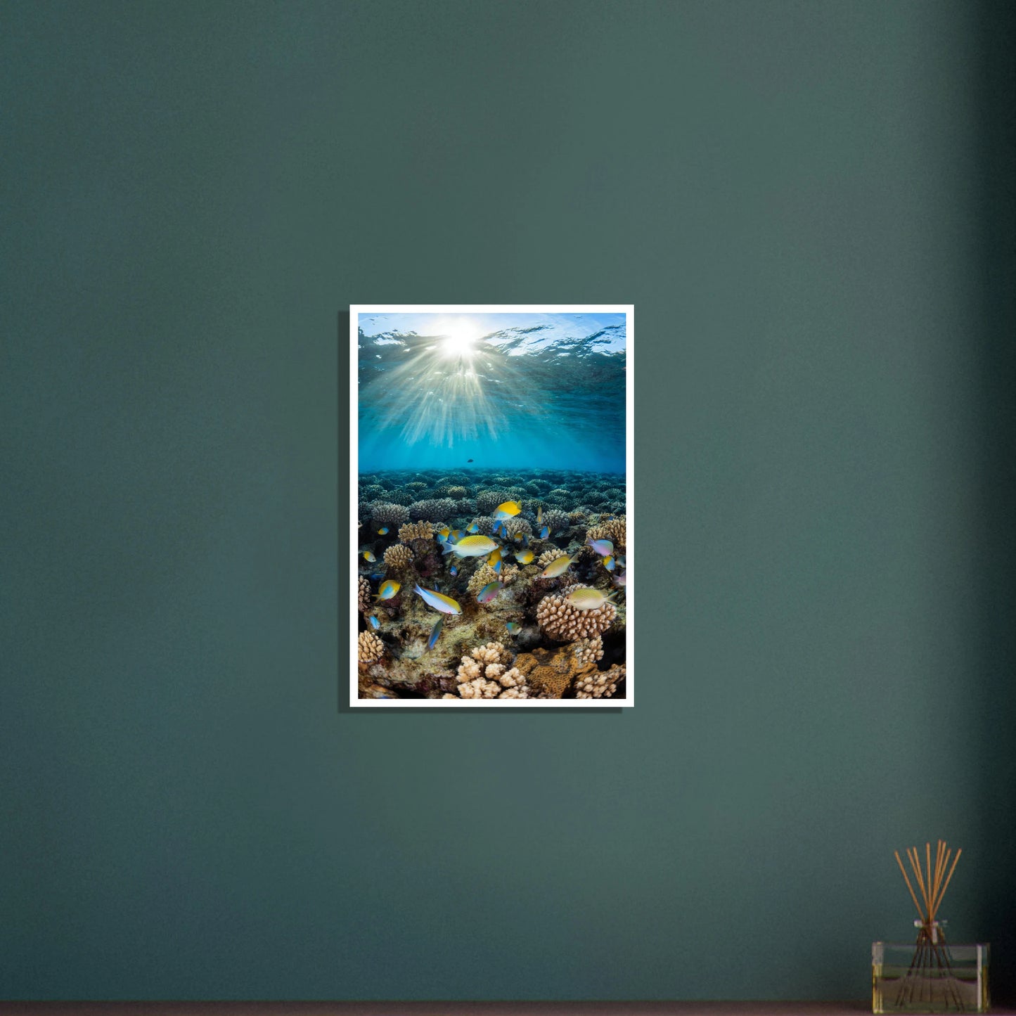 6e9afaad-9af4-459b-ba5f-5ea507dc1ebd