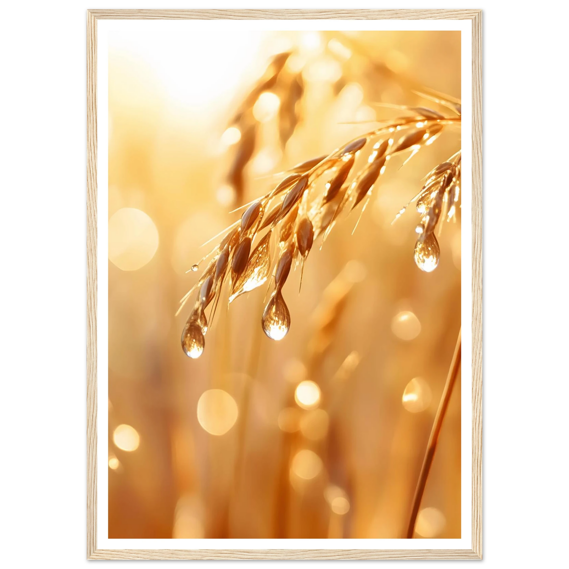 711c715e-4510-43b3-a78b-5091a0c2e479